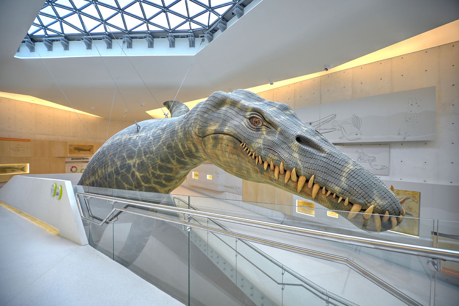 Que Actividades Hay En El Papalote Museo Del Niño